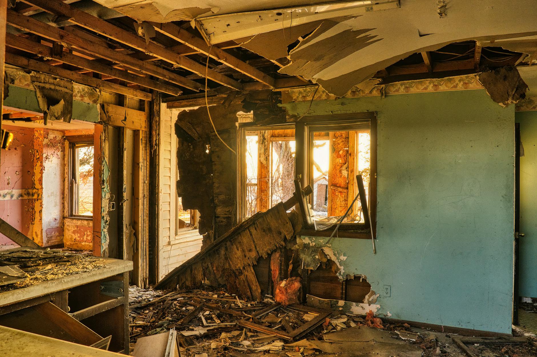 Mold Removal Mold Gallery West Palm Beach